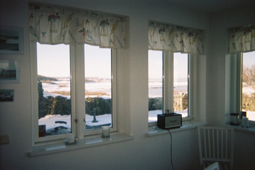 Friend of the house, photo 2