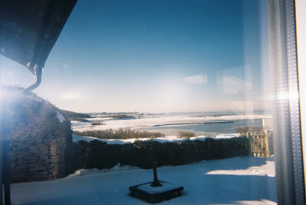 Friend of the house, photo 3