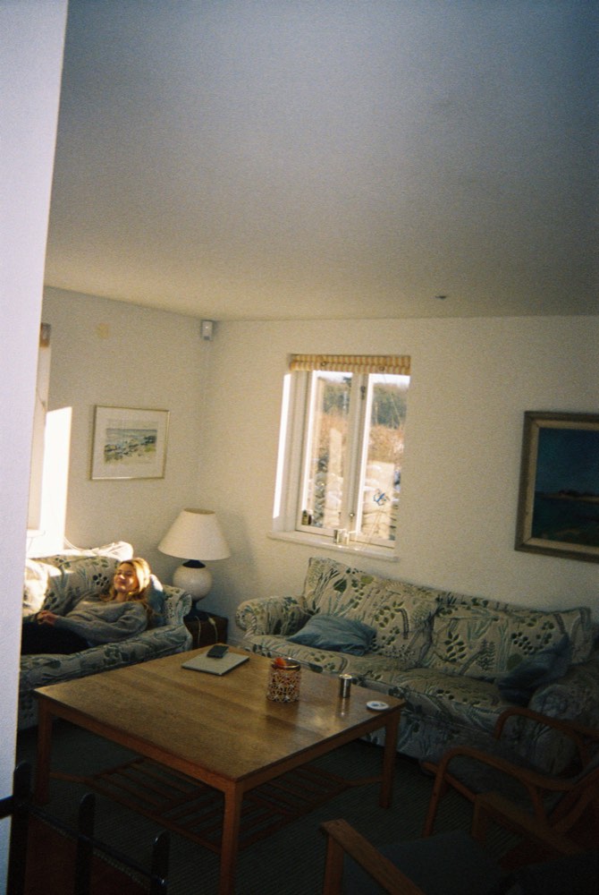 Friend of the house, photo 4