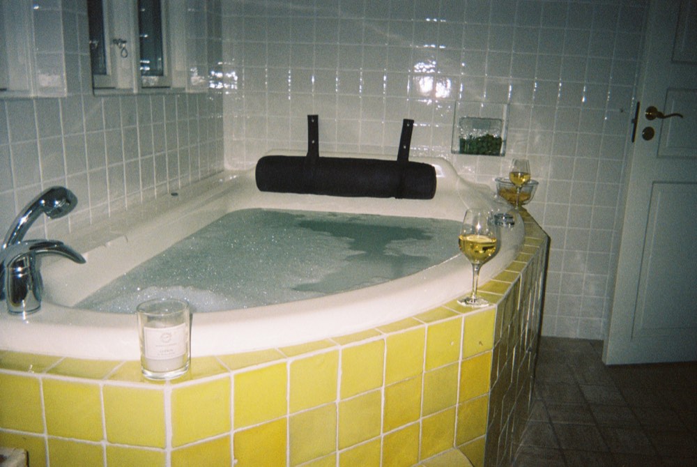Friend of the house, photo 5