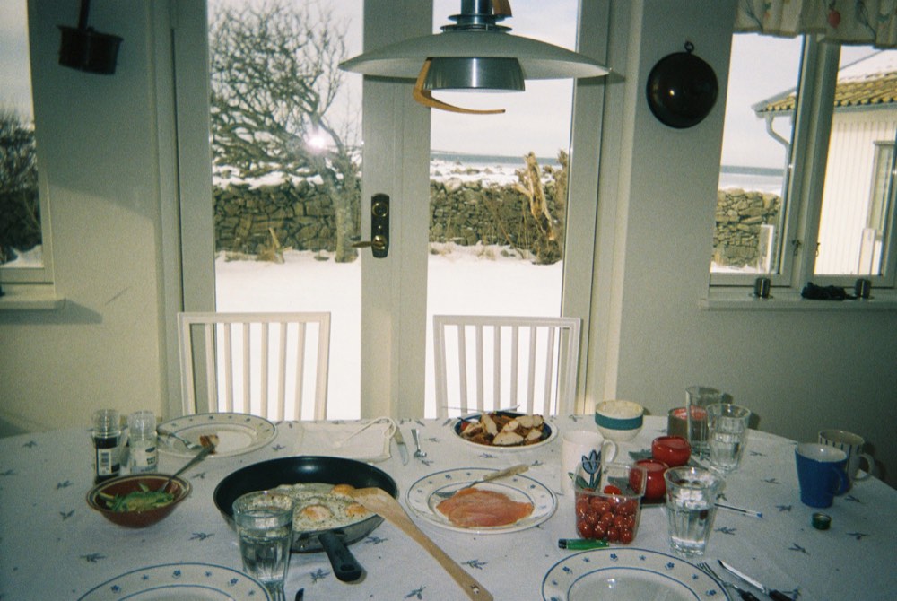 Friend of the house, photo 9