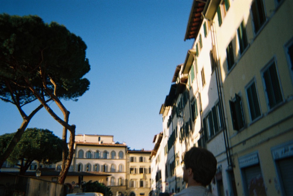 Friend of the house, photo 18