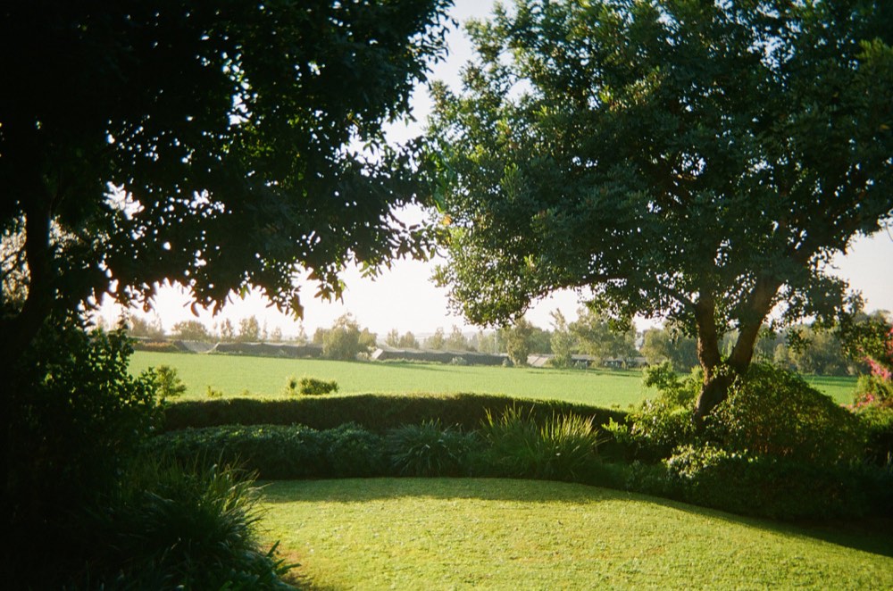 Friend of the house, photo 69