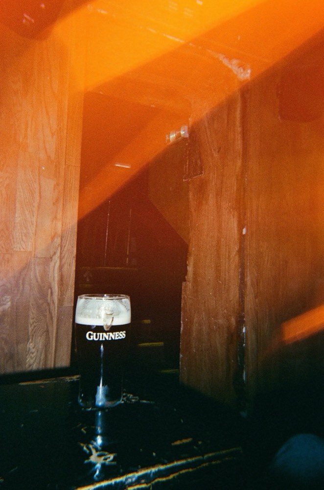 Friend of the house, photo 79