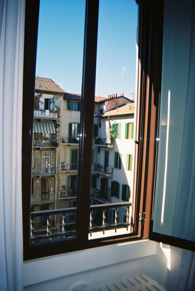 Friend of the house, photo 99